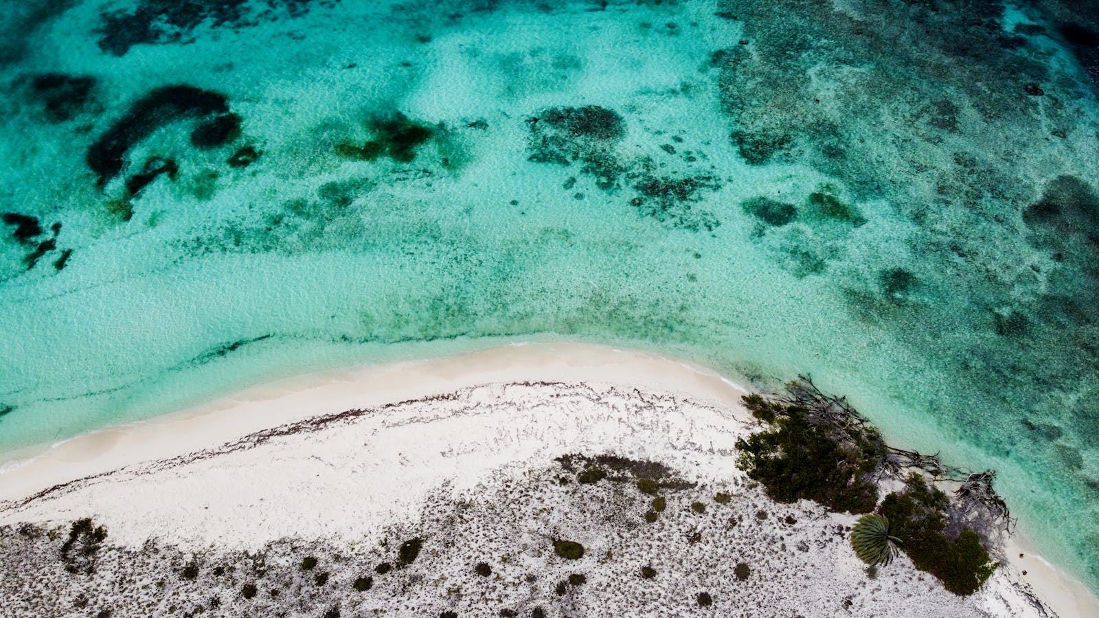 Aerial view of Cozumel's turquoise coastline and the town along the shore