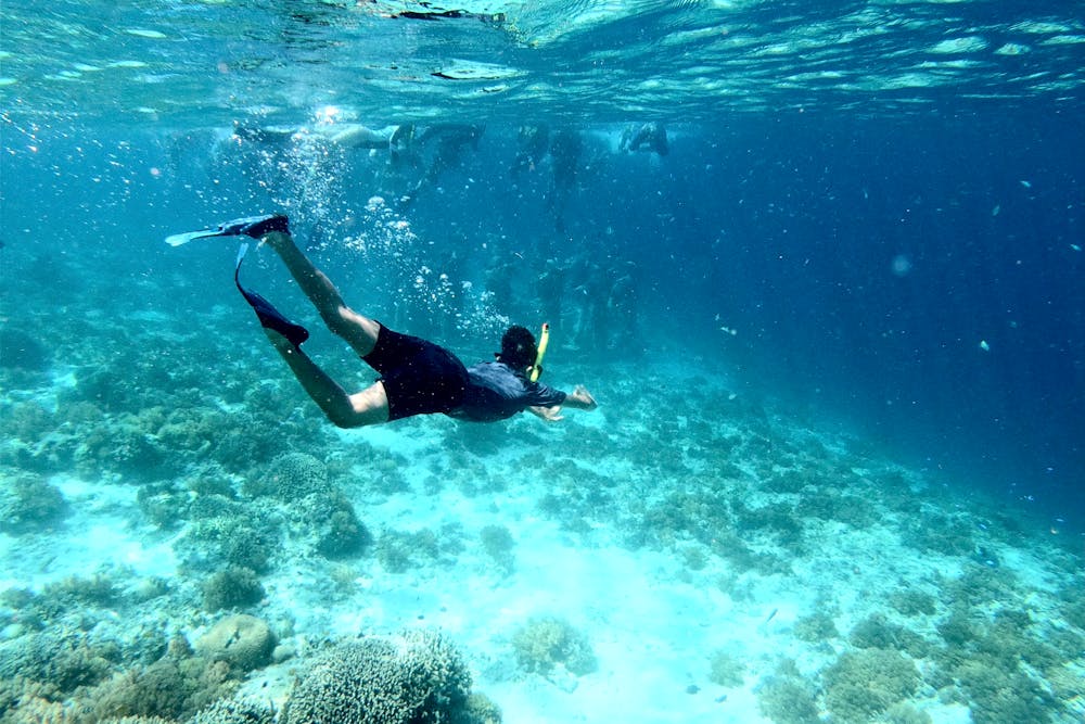 A swimmer over a sunlit Cozumel reef